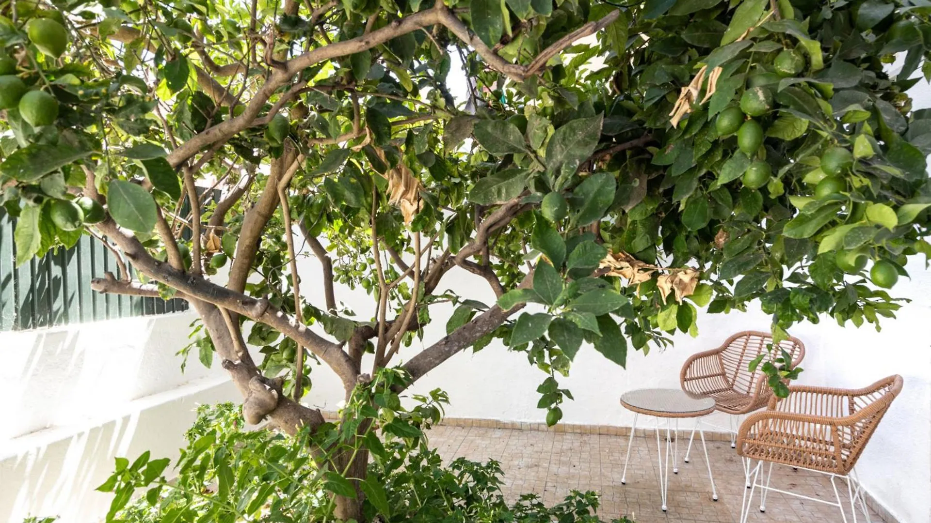 Akicity Penha Tranquil Lisbon Apartment